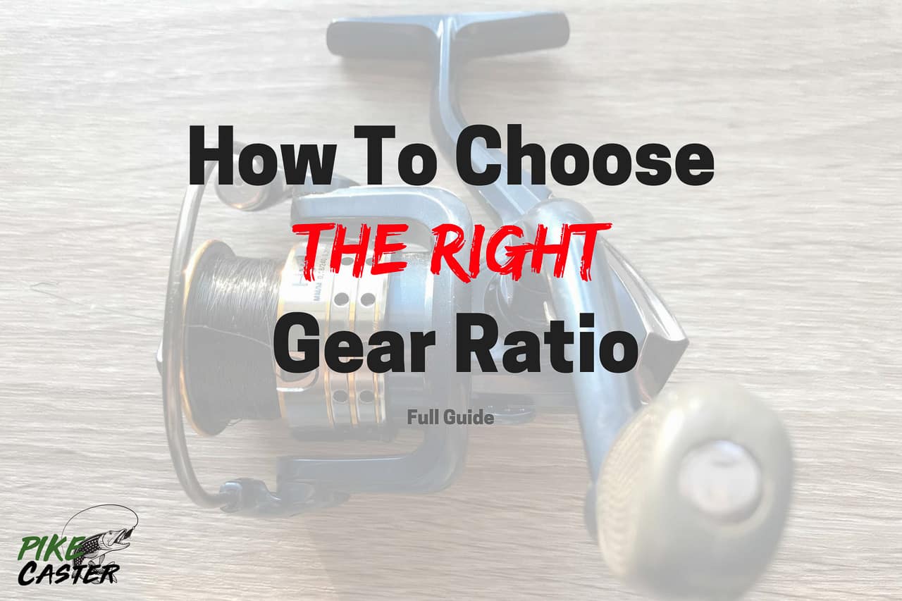 How To Choose The Best Gear Ratio Spinning Baitcasting Reel