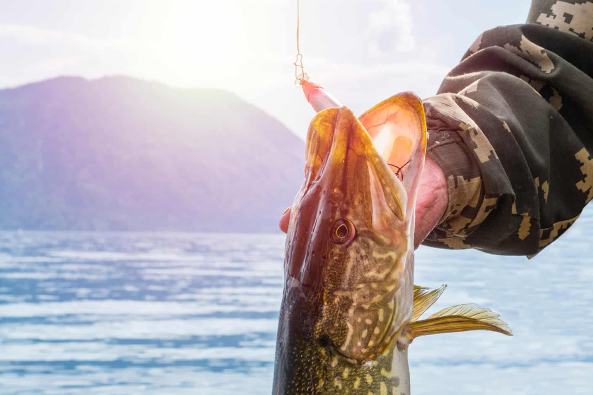 7 Essential Tips for Traveling With Fishing Gear