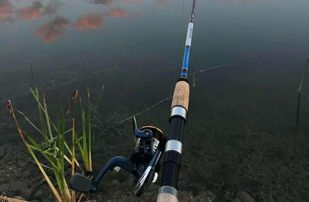 Pike Fishing Rod and Reel